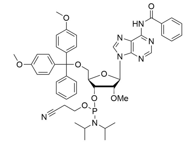 2'-ome-ra(bz) Phosphoramidite: Huarensh